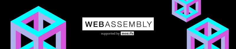 Web-Assembly-800x169.jpg