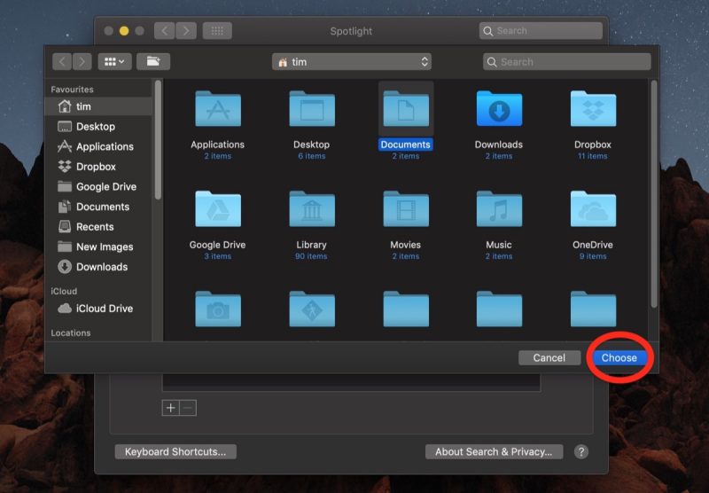 how-to-reindex-spotlight03-800x556.jpg