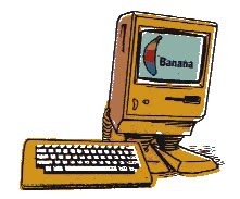 Banana-Junior.jpg