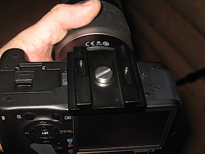 IMG_5591.JPG
