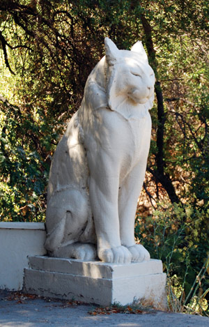 Los-Gatos.jpg