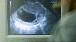 5dj.gif