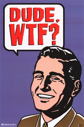 7665~Dude-WTF-Posters.jpg
