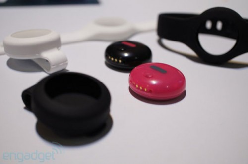 fitbug-500x332.jpg