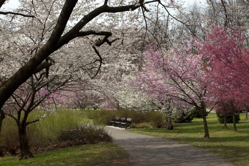 walk4c_zpsed0b25c0.jpg