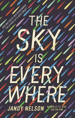 the-sky-is-everywhere-250x395.jpg