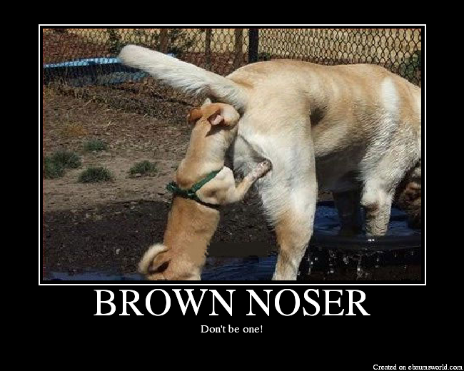 BROWNNOSER.png