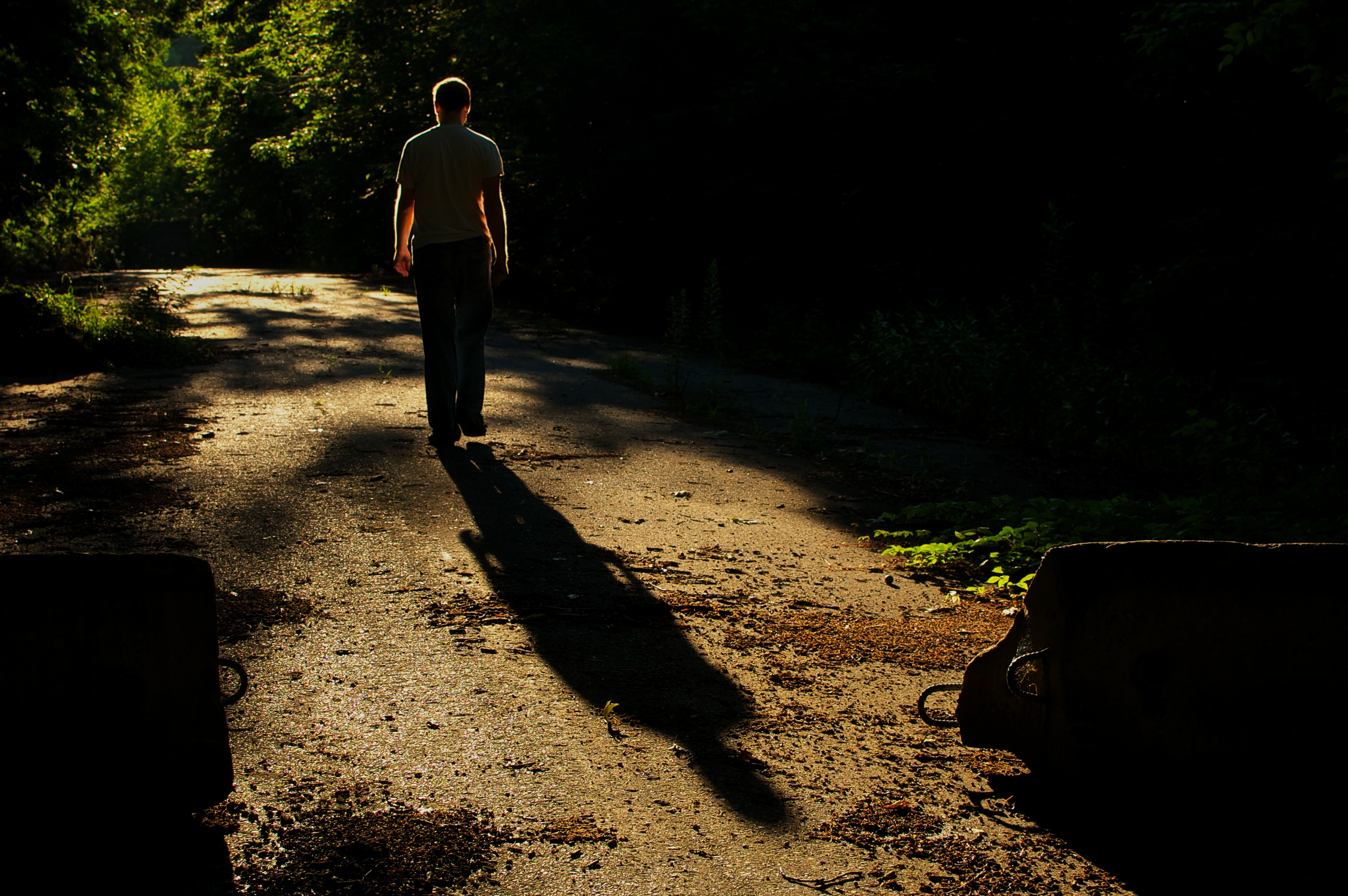 theroadthatliesahead.jpg