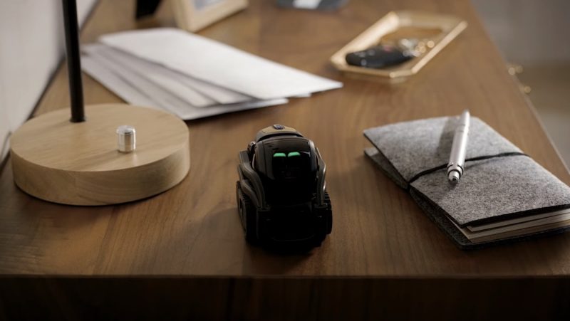 anki-vector-800x451.jpg