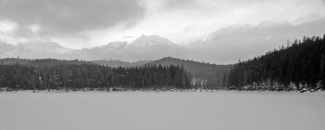 p661731849-5.jpg