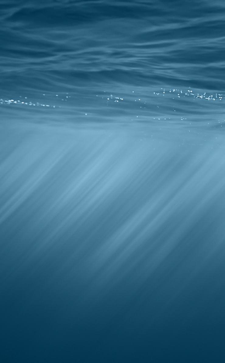 14334793776_31c50479df_o.png