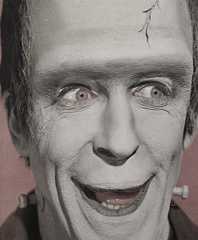 HermanMunster.png