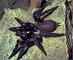 fwebphoto2.jpg