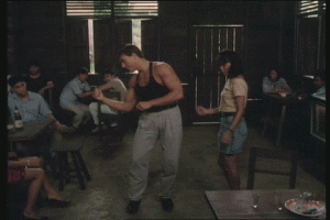 vandamme.gif