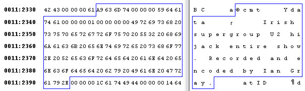 description1_hex.gif