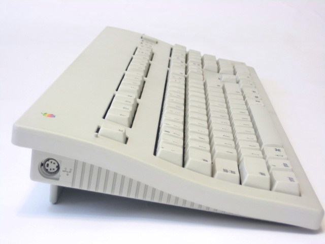 009.JPG