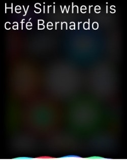 How-to-use-Hey-Siri-Apple-Watch-1-250x313.jpg