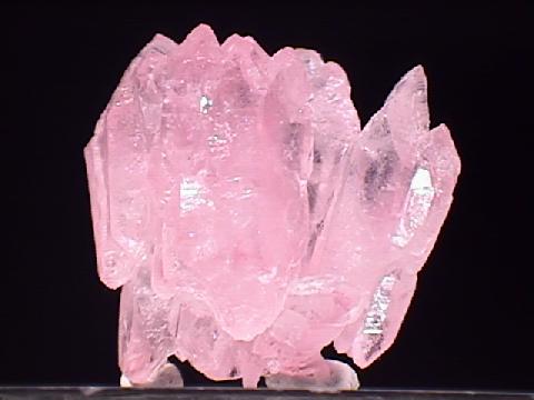 roq-28.jpg