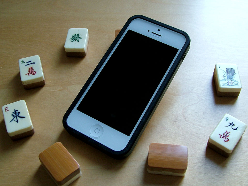 TwigCaseBambooFrontTiles.jpg