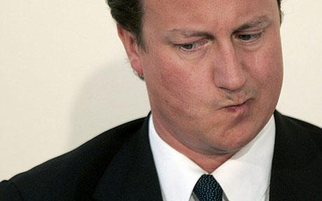 cameron_1369576c.jpg