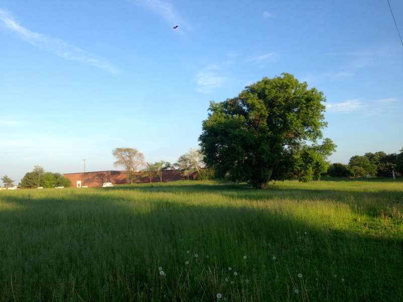 IMG_8557.JPG