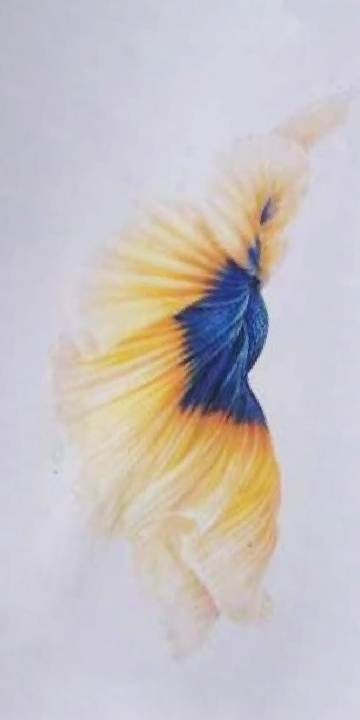 test.jpg