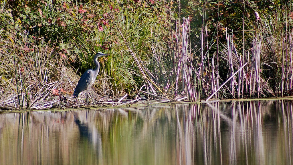 IMG_8737.jpg