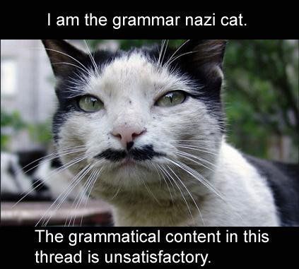 LOLcat+-+Grammar+Nazi+Cat.jpg