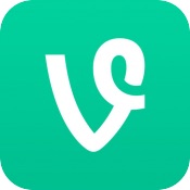 vine.jpg
