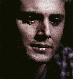 1d41OJw_700wa_0.gif