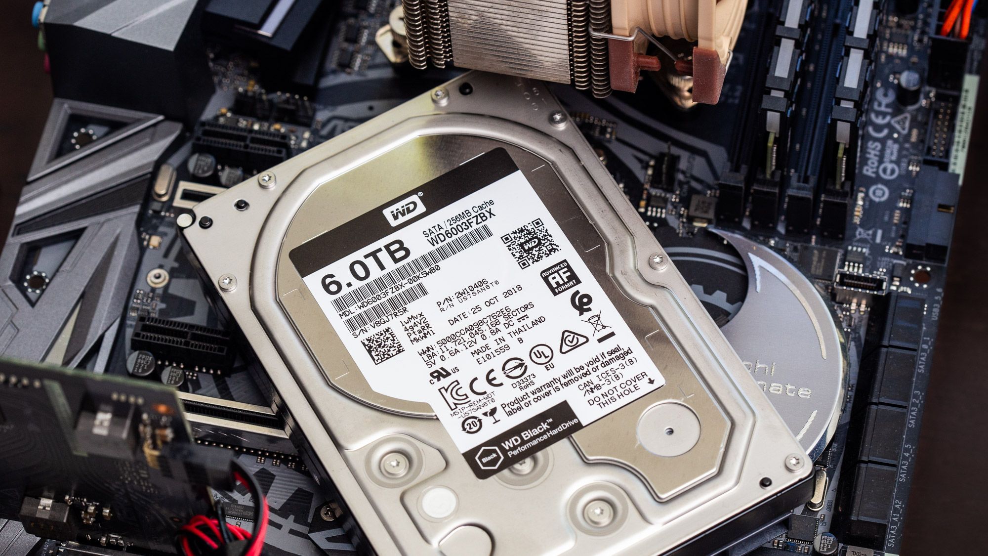 www.tomshardware.com