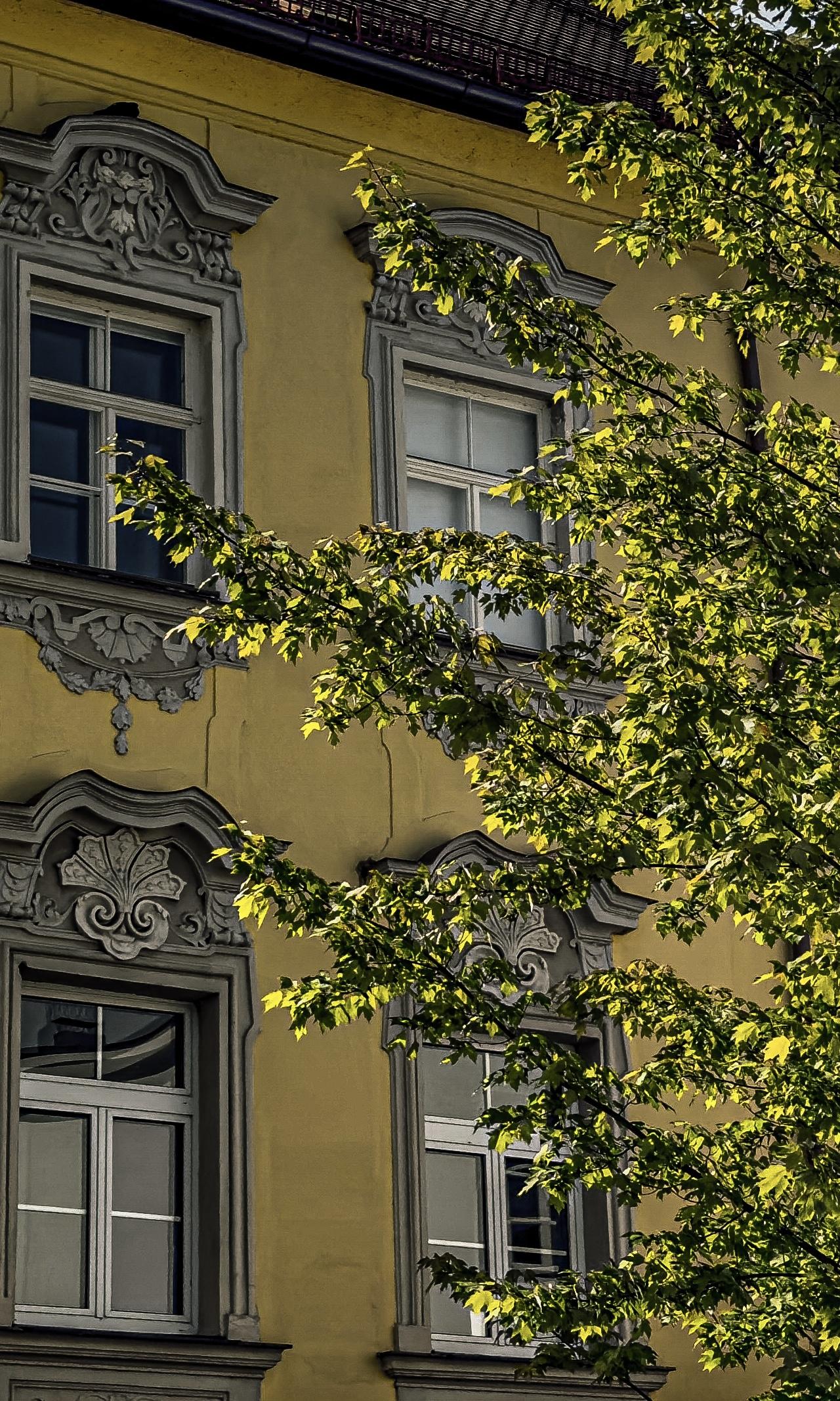abbe94b09623908cc48a7237e9faac4e.jpg