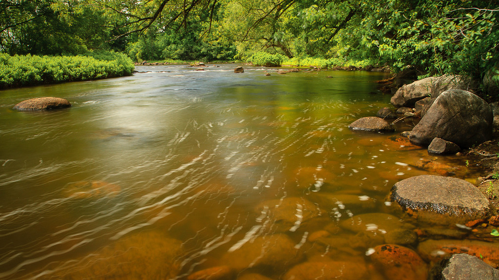 9-juin-Riviere-1483-XL.jpg