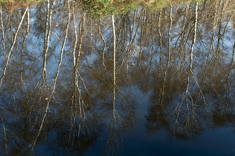 deurne0009.jpg