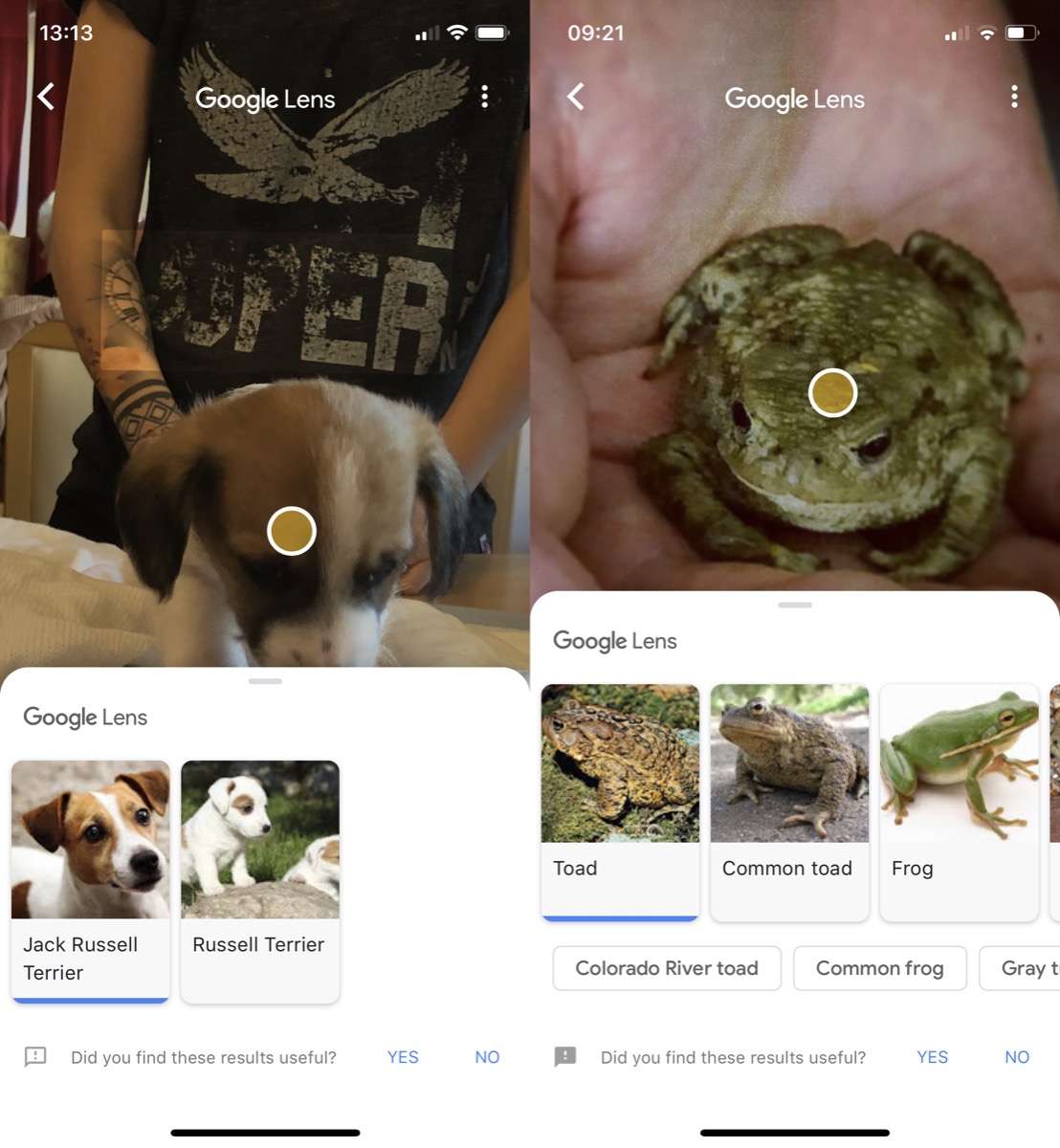 how-to-use-google-lens-5.jpg