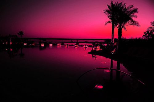 beach-island-ocean-palm-tree-Favim.com-1851777.jpg