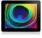 103632-ipad_display.jpg