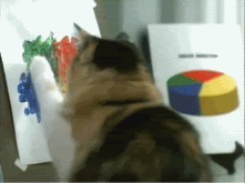 copycat.gif