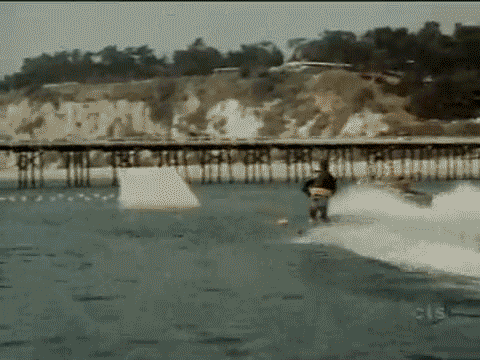 fonziejumpsshark3sl.gif