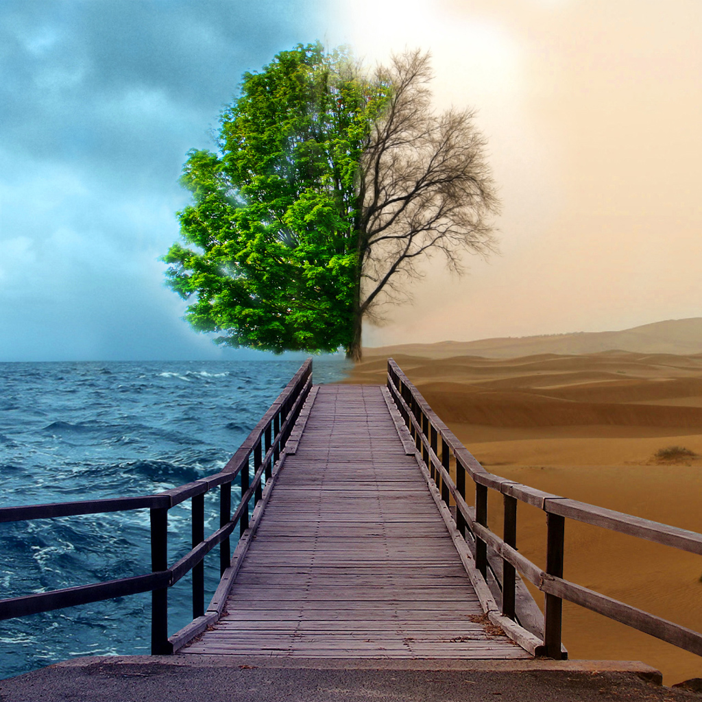ipad-2-Nature.jpg