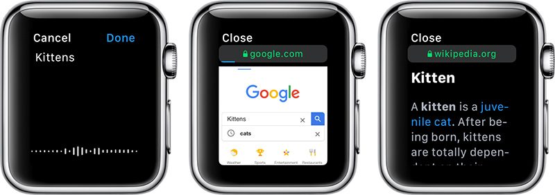 applewatchgooglesearch-800x282.jpg