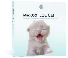 lolcat.jpg
