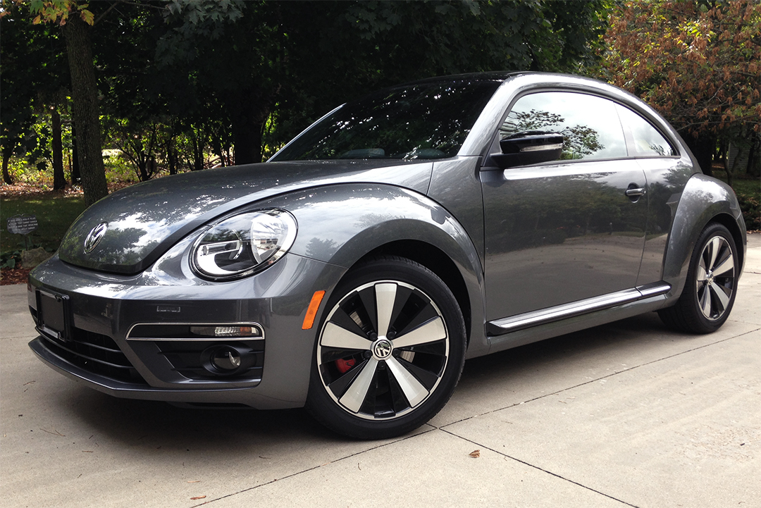 beetle.jpg