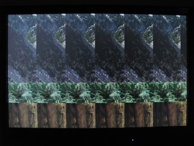 eizo-color-shifting.th.jpg