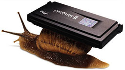 snail.jpg