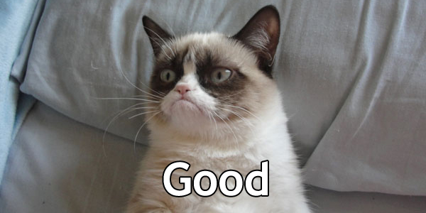 Grumpy_Cat-Good_1510.jpg
