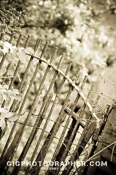 new-wine-2009-70.jpg