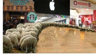 isheep.jpg