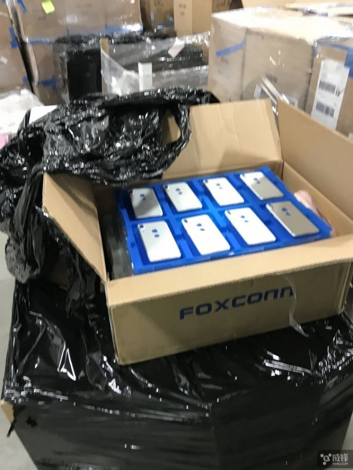 37652-32529e45.jpg