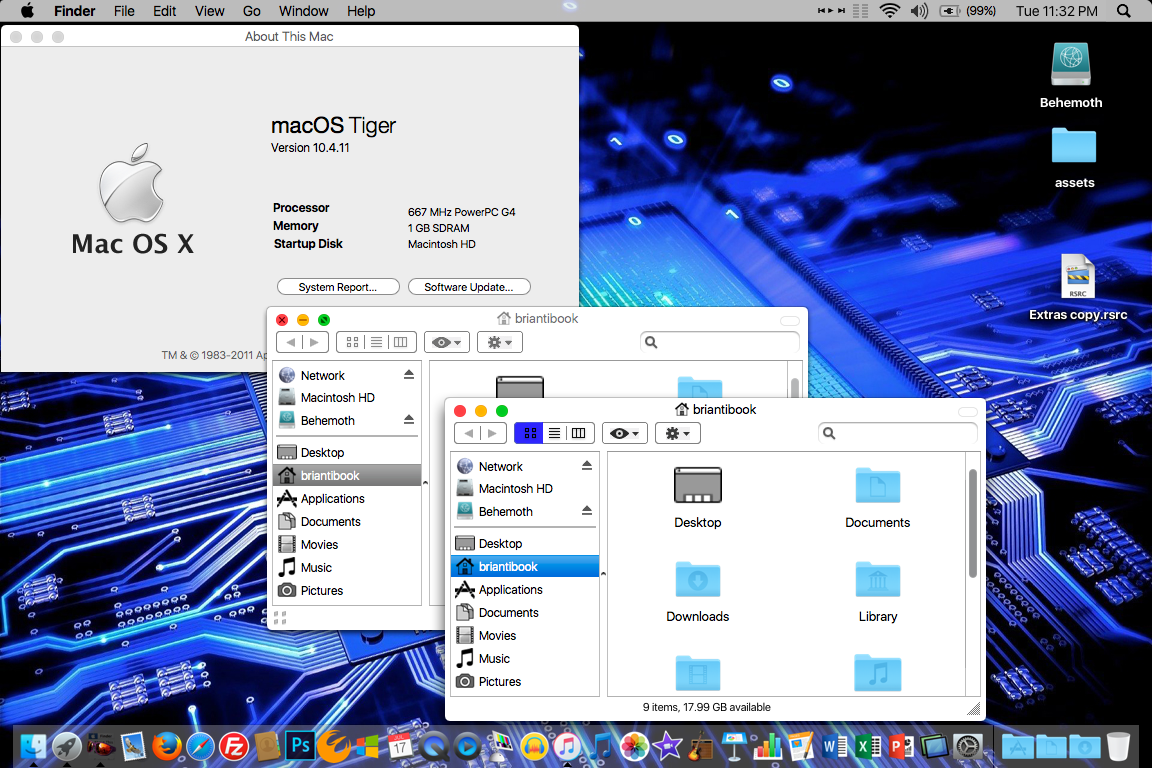 tigertheme1.png